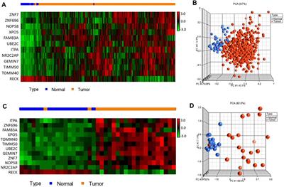 Integrated Analysis of Transcriptomic and Genomic Data Reveals Blood Biomarkers With Diagnostic and Prognostic Potential in Non-small Cell Lung Cancer